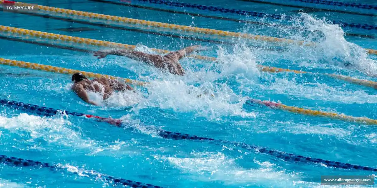 ag尊龙官方网站入口——潜水冒险，探秘深蓝🌊